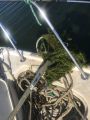 Mildred island anchor with debris.jpg